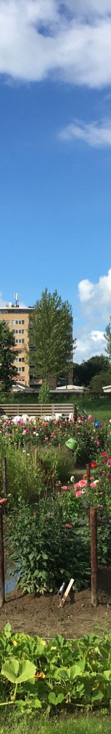 Park De Wezenlanden-兹沃勒