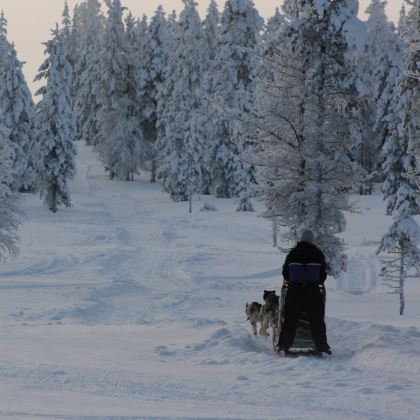 俄罗斯莫斯科+圣彼得堡+摩尔曼斯克9日拼小团