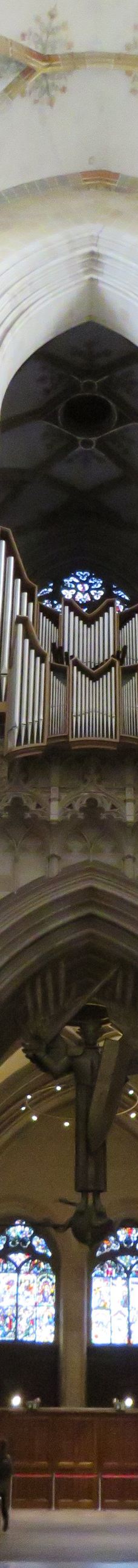 乌尔姆大教堂-乌尔姆