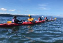 Gulf Island Kayaking景点图片