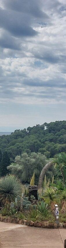 Jardí Botànic Tropical Paratge Pinya de Rosa-布拉内斯