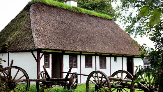 Frilandsmuseet Herning
