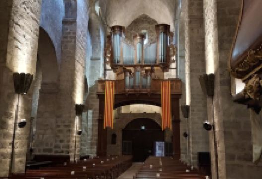 Abbaye Sainte Marie d'Arles景点图片