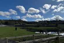 Brockswood Animal Sanctuary景点图片