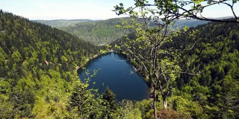 Le Lac des Corbeaux