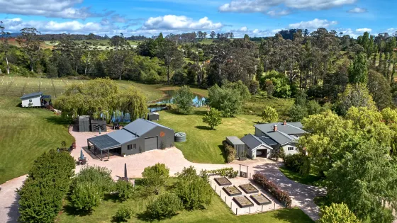 3 Willows Vineyard