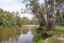 Murrumbidgee Valley National Park景点图片