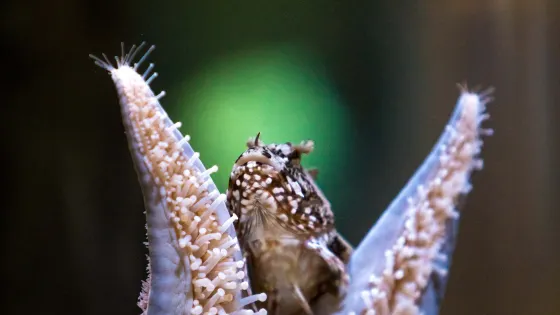Nicholas Sonntag Marine Education Centre