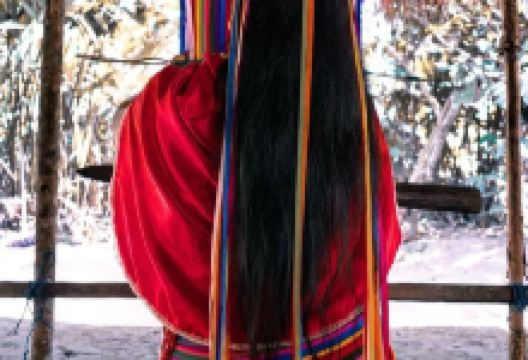 Museo Etnografico Tsachila景点图片