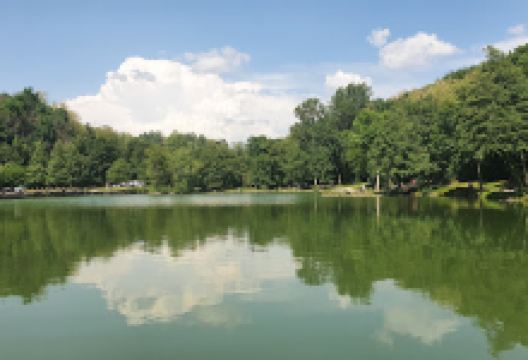 Yapluka Park, votre parc accrobranche à 30 minutes de Lyon景点图片
