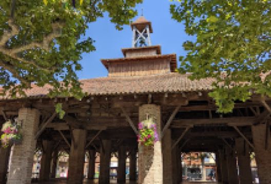 Halle de Grenade购物图片