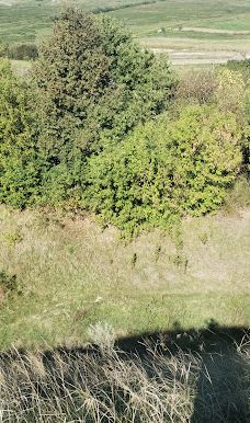 Bilivsʹke Horodyshche-罗夫诺区