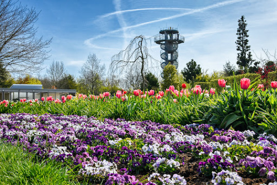 Park der Gärten餐厅图片