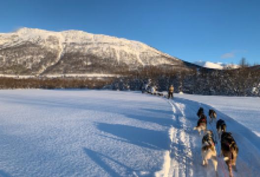 Jevningen Gård - Dogsledding & Arctic Farming景点图片