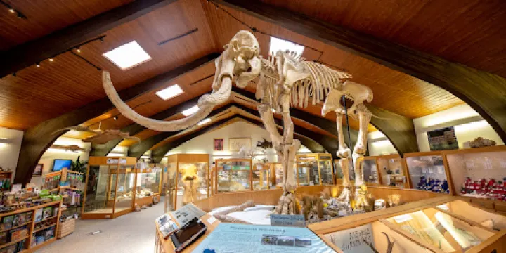 Tate Geological Museum