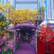 Purple Garden
