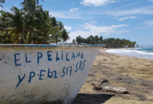 Viejo Park景点图片