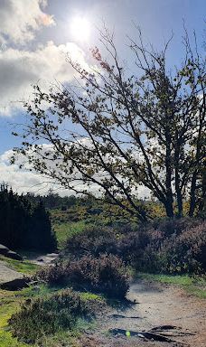 Rokkestenen-伯恩霍尔姆