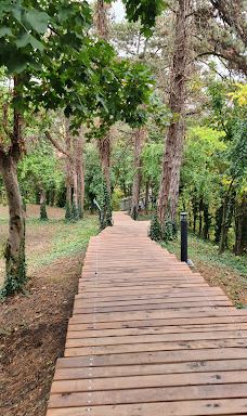 巴拉顿湖球形观景台-巴拉顿博格拉尔