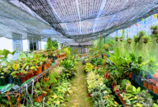 Noorwati Nursery购物图片