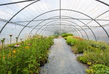 The Otter Nursery购物图片