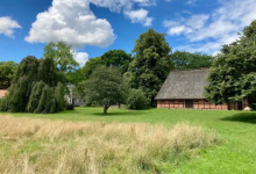 Museum Langes Tannen景点图片