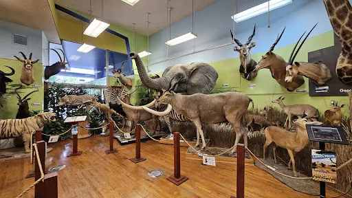 Buena Vista Museum of Natural History