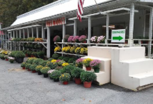 Ira's Market购物图片