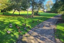 Flockton Duck Pond景点图片