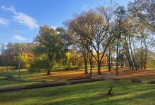 Duff Community Park景点图片