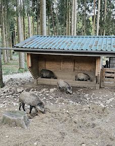 Wildgehege Meßstetten-佐勒纳尔布县