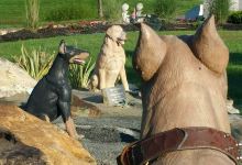 War Dog Memorial景点图片