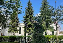 Zugdidi Boulevard景点图片