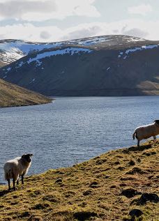Megget Reservoir-塞尔扣克