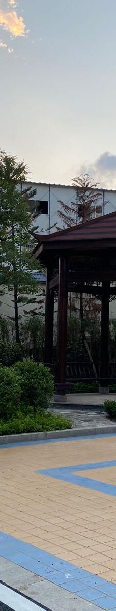 油茶小镇雅园-恭城