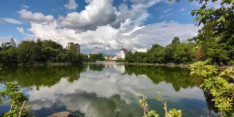 夷源公園