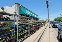 Broadway Garden & Nursery Center购物图片