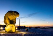 Beaverlodge Giant Beaver景点图片