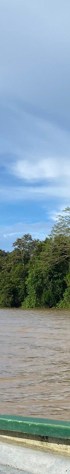 京那巴当岸河-基纳巴唐岸