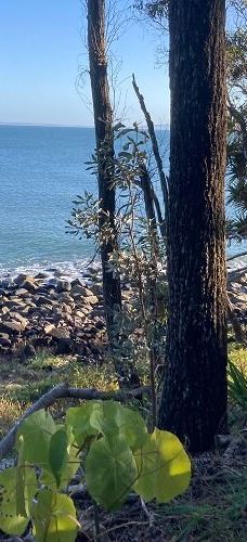 努沙国家公园-努萨角