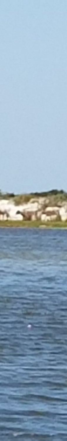 Cedar Island National Wildlife Refuge-拉合尔