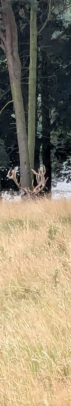 Tatton Park Country Park-纳茨福德