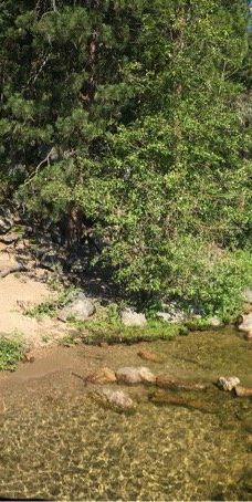 Tubbs Hill-科达伦