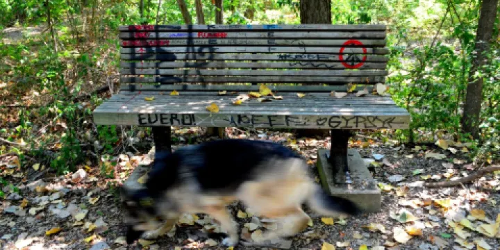 Old Fish Hatchery Nature Area