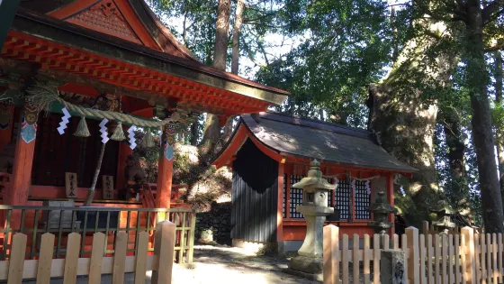 高原熊野神社