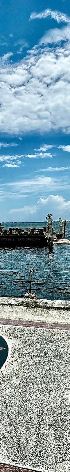 维兹卡亚博物馆及花园-迈阿密