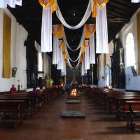 奇奇卡斯特南戈图片