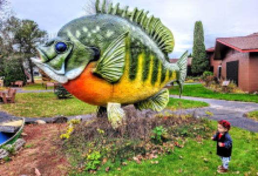 Fresh Water Fishing Hall of Fame景点图片