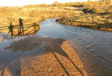 Bahía de Cádiz Natural Park景点图片