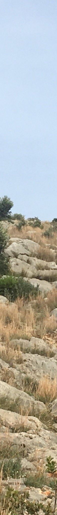 Castle of Montgrí-Baix Emporda